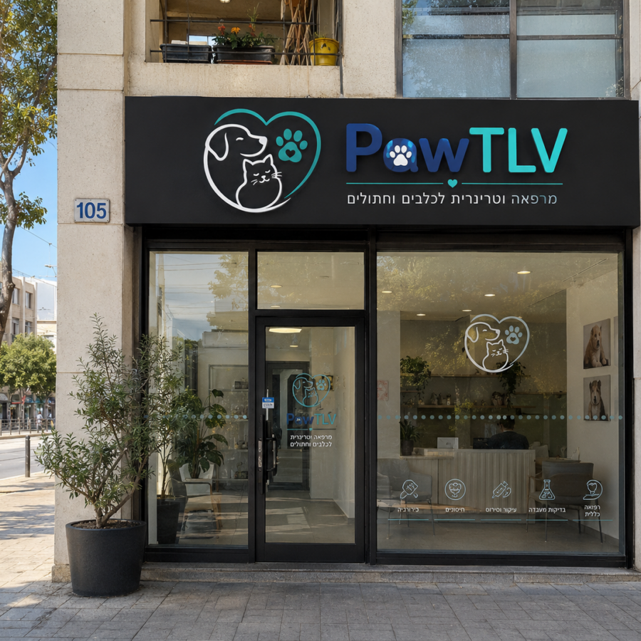 עיצוב הדמיה