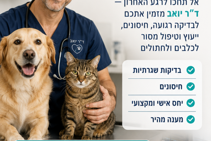 עיצוב לסטורי