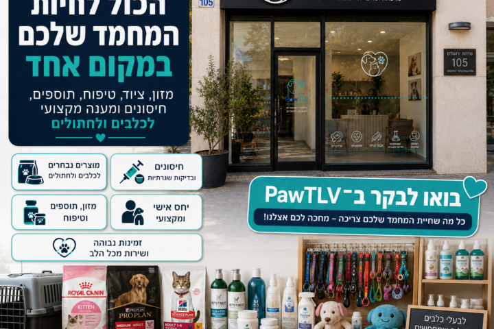 עיצוב לפוסט